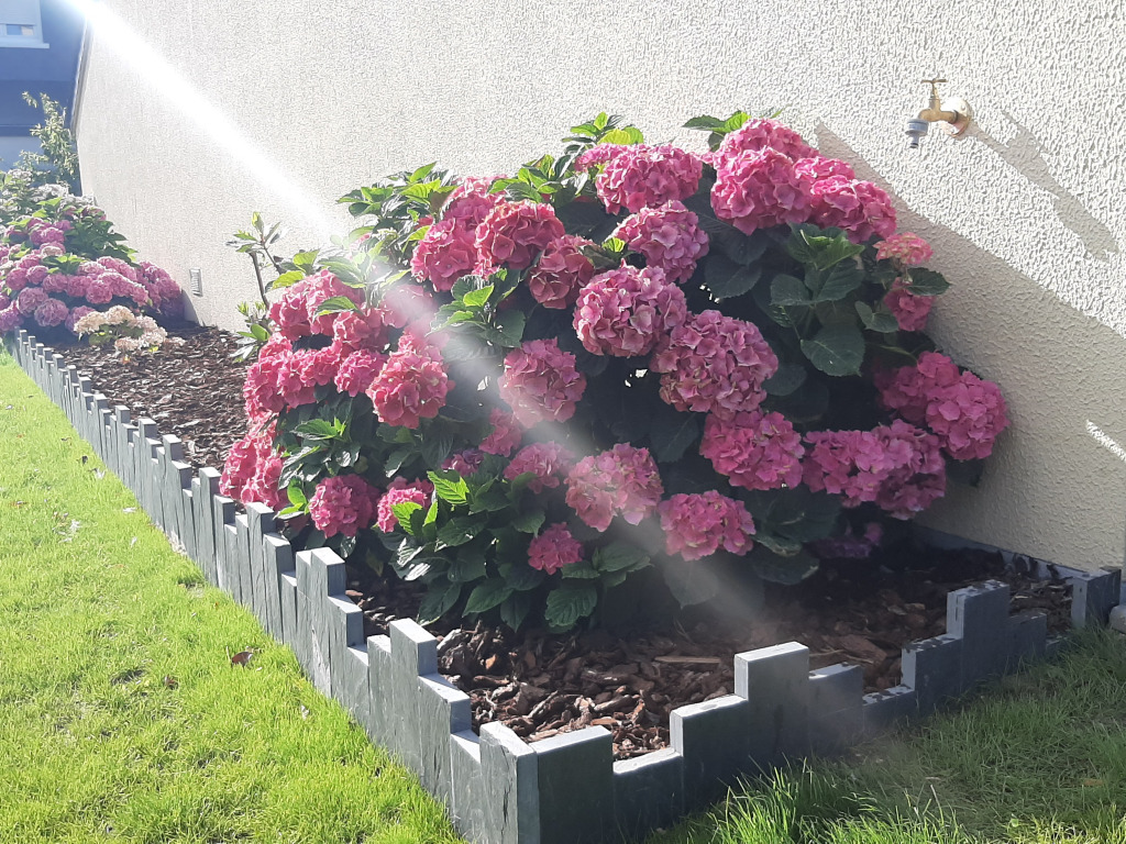 Piquets d’ardoise 100 x 10 x 3 (2)