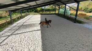 sable equestre equi pro imerys (3)
